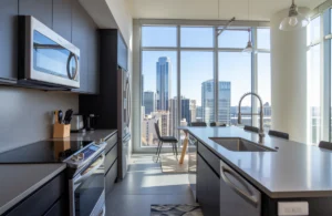 Modern Austin condo kitchen with space-saving 24" appliances installed by professionals